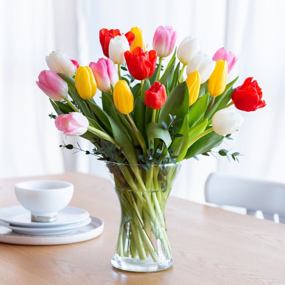 Arredare la casa con piante e fiori: quali scegliere e dove acquistarli - VLifestyle